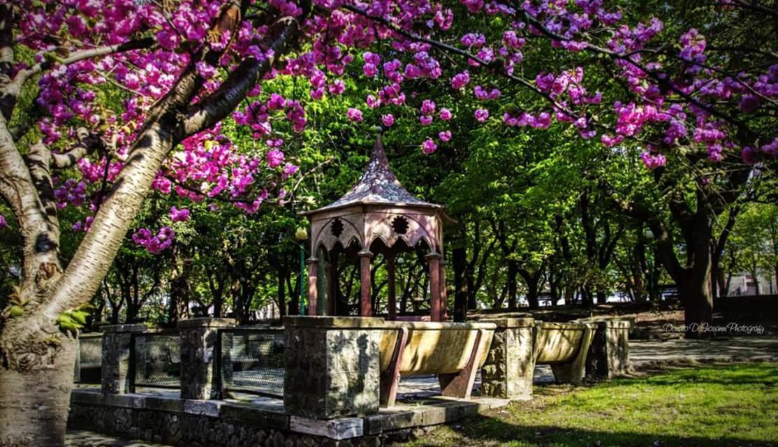 Dormire Nel Borgo Бовино Экстерьер фото